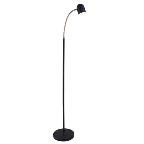 Lite Source Tiara Black and Brass LED Gooseneck Floor Lamp - Diamond Home USA