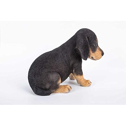 Dachshund Puppy Statue Polyresin - Diamond Home USA