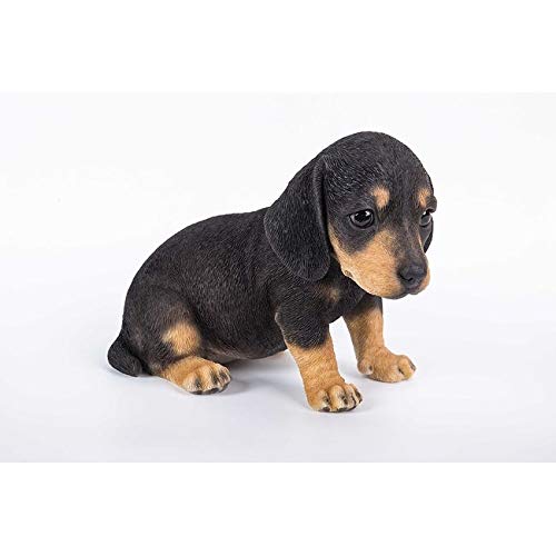Dachshund Puppy Statue Polyresin - Diamond Home USA