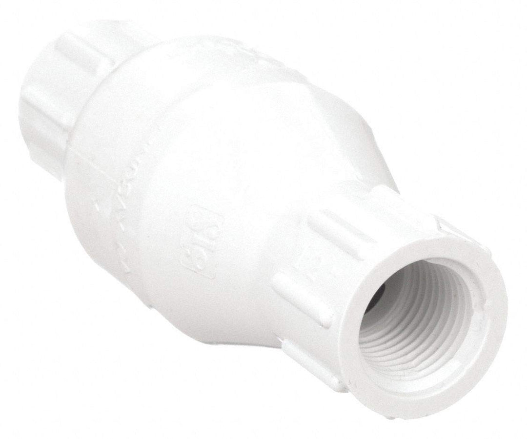 Dayton 1/2" Spring Check Valve PVC FNPT Connection Type