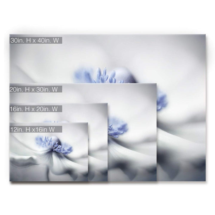 Ready2HangArt Anemone Spirit' Floral Wrapped Canvas Wall Art Overall Size: 30 - Diamond Home USA