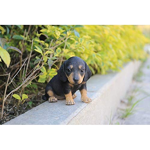 Dachshund Puppy Statue Polyresin