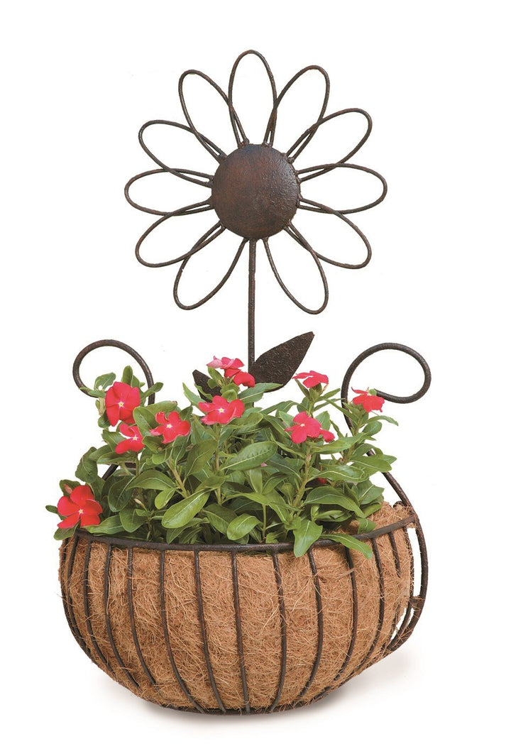 Deer Park WB135 Daisy Wall Basket with Cocoa Moss Liner