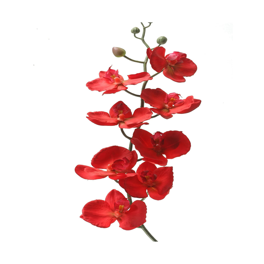 Deep Red Orchid Stem (Set of 3)