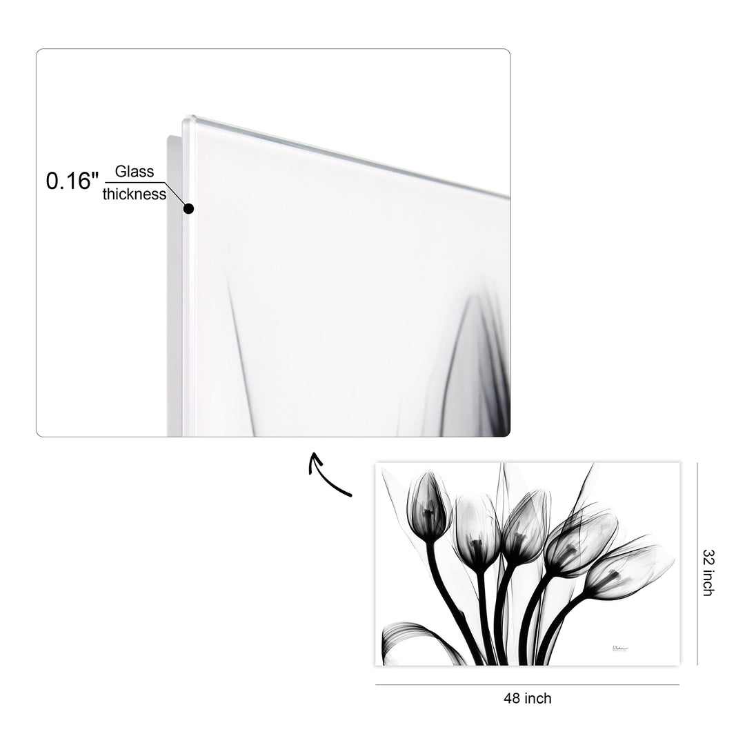 Marching Tulips Frameless Free Floating Tempered Glass Panel aphic Wall Art - Diamond Home USA