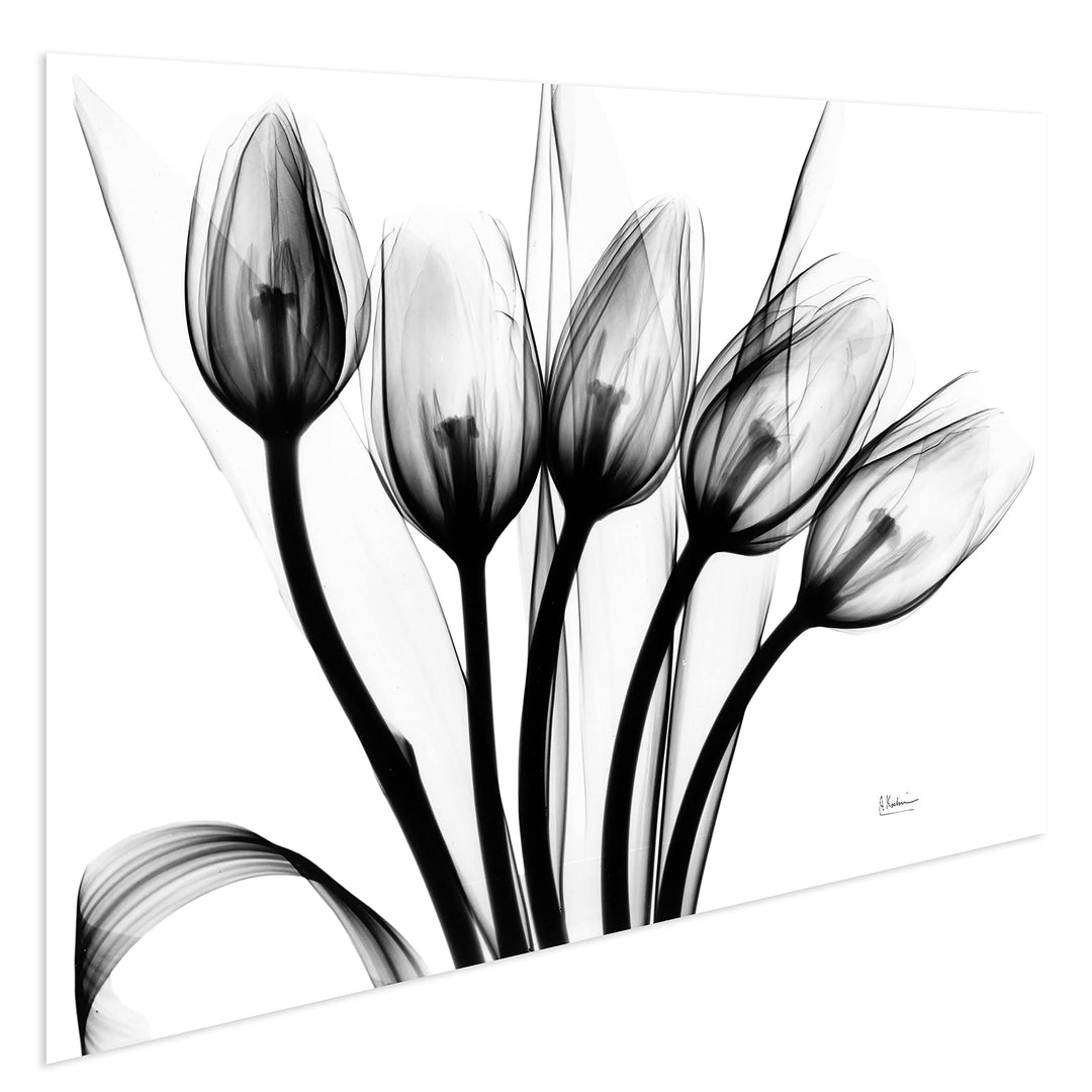 Marching Tulips Frameless Free Floating Tempered Glass Panel aphic Wall Art - Diamond Home USA
