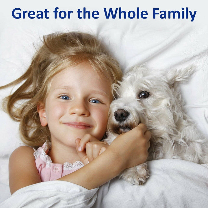 BLUFF CITY BEDDING 1800TC Soft Microfiber 4-Piece Deep-Pocket Bed Sheet Set - Diamond Home USA