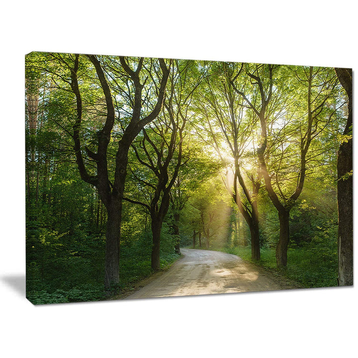 DESIGN ART Designart 'Evening in Green Forest' Extra Large Landscape Canvas - Diamond Home USA