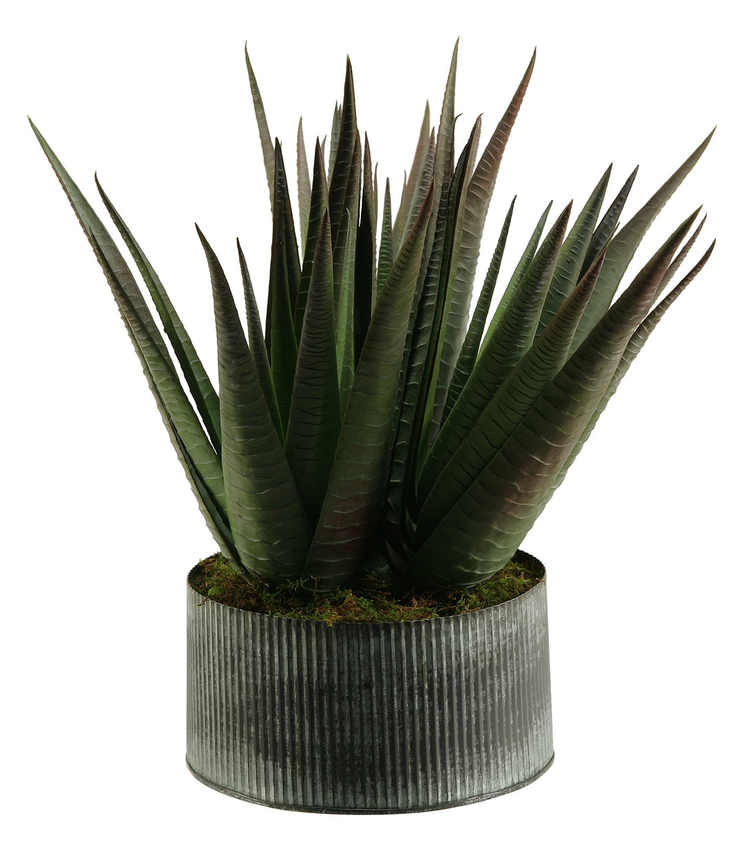D & W Silks D&W Silks Agave Plant in Round Tin Planter