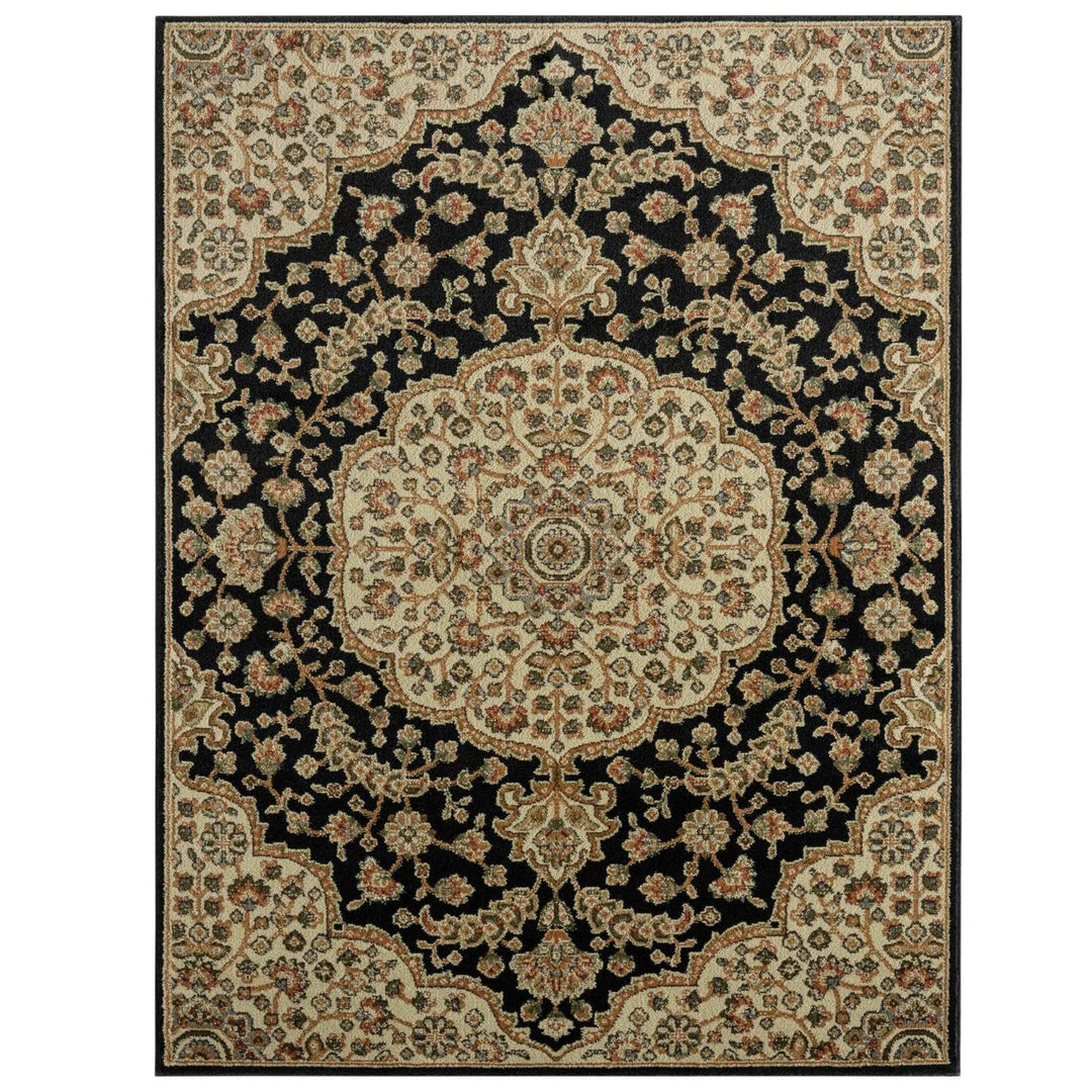 Home Dynamix Royalty Medallion Traditional Area Rug Black/Ivory 7'8"x10'4" 7'8"x10'4" - Black/Ivory