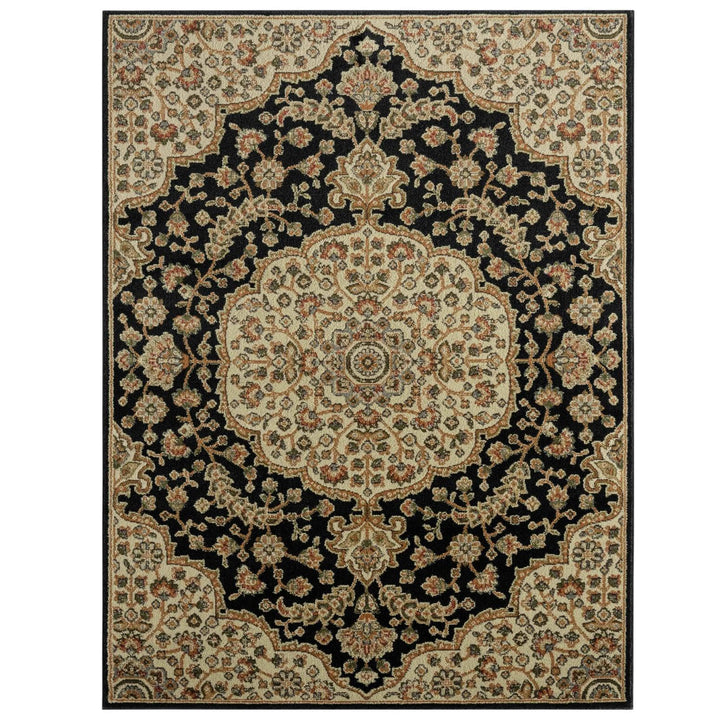 Home Dynamix Royalty Medallion Traditional Area Rug Black/Ivory 7'8"x10'4" 7'8"x10'4" - Black/Ivory