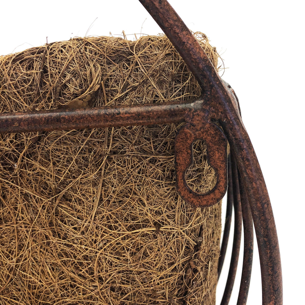 Deer Park WB135 Daisy Wall Basket with Cocoa Moss Liner - Diamond Home USA