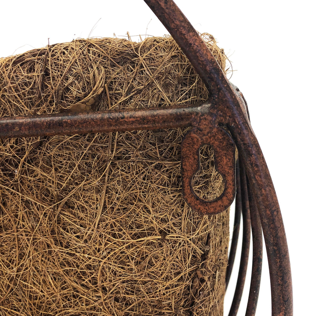 Deer Park WB135 Daisy Wall Basket with Cocoa Moss Liner - Diamond Home USA