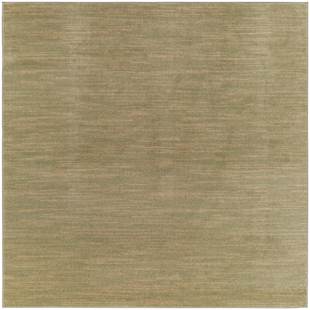 Nourison Essentials Indoor/Outdoor Area Rug Easy Cleaning