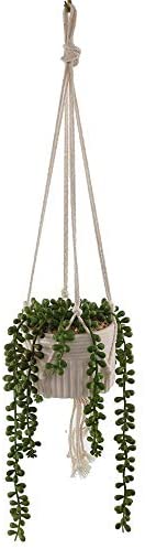 MISC Artificial Plant String Pearls Macrame Hanging Ceramic Donkey Tails One Size Handmade