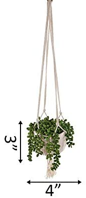 MISC Artificial Plant String Pearls Macrame Hanging Ceramic Donkey Tails One Size Handmade