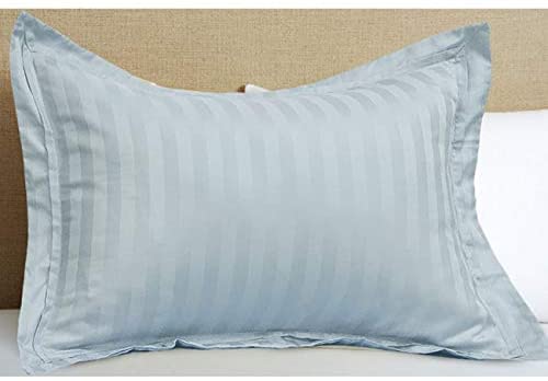 Egyptian Cotton 500 Thread Count Pillow (Set 2) Blue Striped