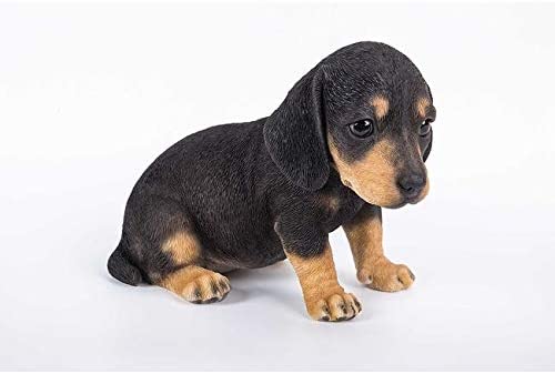 Dachshund Puppy Statue Polyresin - Diamond Home USA