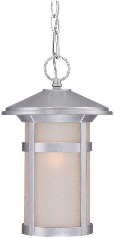 1 Light Brushed Silver Outdoor Hanging Lantern