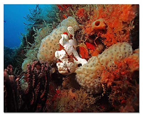 Underwater 16x20 inch Framed Wall Art Modern Contemporary