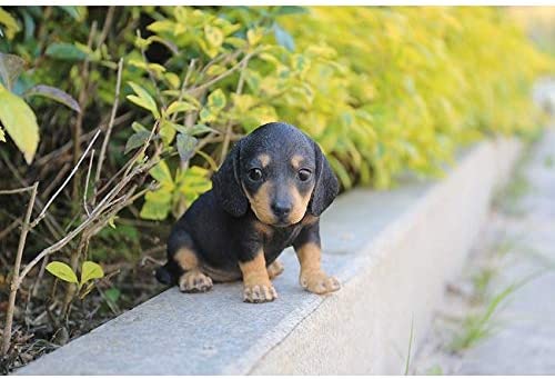 Dachshund Puppy Statue