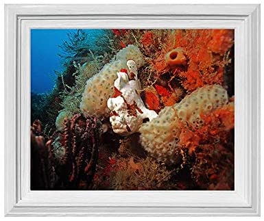 Underwater 16x20 inch Framed Wall Art Modern Contemporary Rectangle Canvas Wood