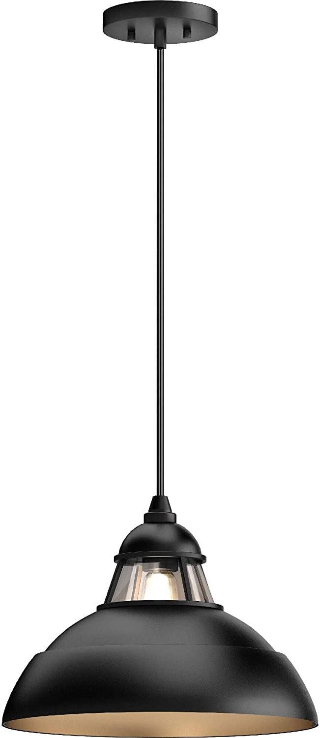 1 Light Black Hanging Pendant Bowl Clear Glass Farmhouse