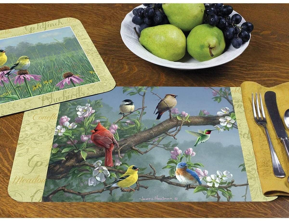Wipe Clean Plastic Placemats Set 4 Color Rectangle - Diamond Home USA