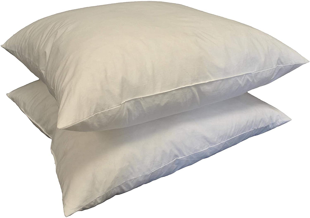 21 inch Square Feather Pillow Insert (Set 2) White Solid