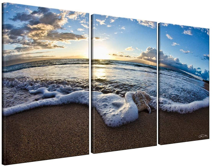 Sea Star Ii' 3 Piece Canvas Wall Art Blue Modern Contemporary Specialty Made USA