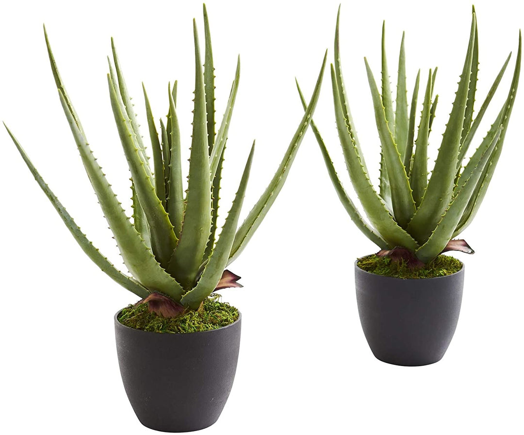 Aloe Artificial Plant (Set