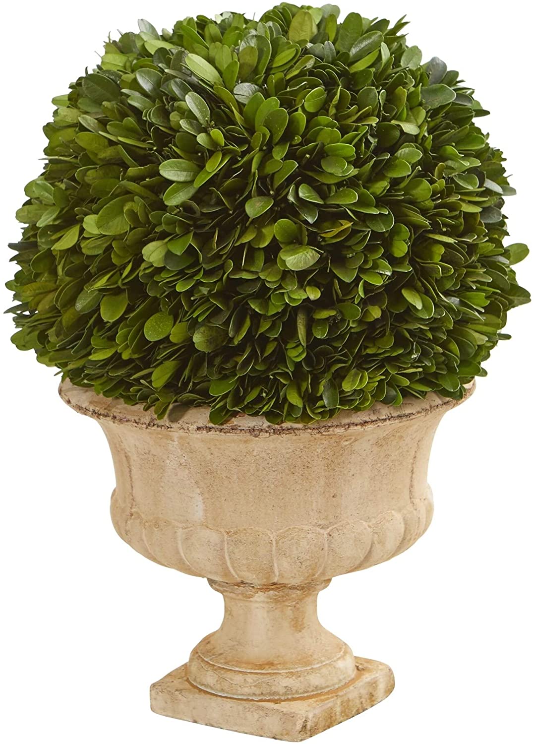 12" Boxwood Topiary Ball Preserved Plant Decorative