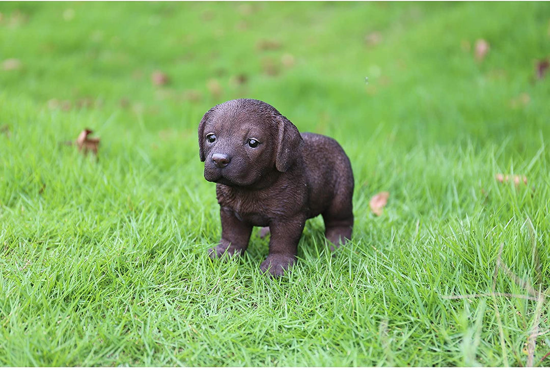 Chocolate Standing Labrador Puppy Statue