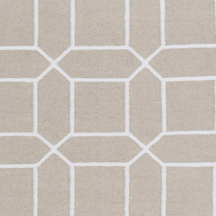 Hand Woven Geometric Pattern Indoor/Outdoor Accent Rug Grey Modern Contemporary Rectangle Polyester Latex Free