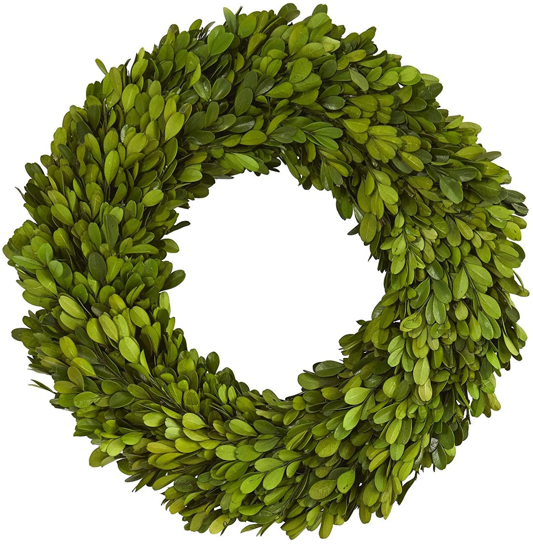 14" Preserved Boxwood Wreath Green