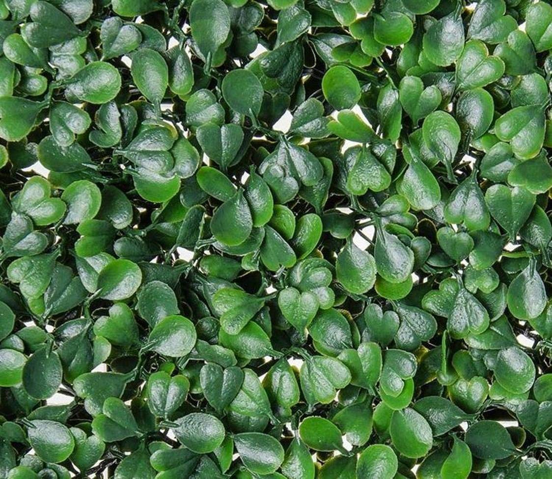 Decorative Panels