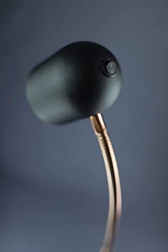 Lite Source LED Floor LAMP French Gold Type LED 5W LS-83322GOLD - Diamond Home USA