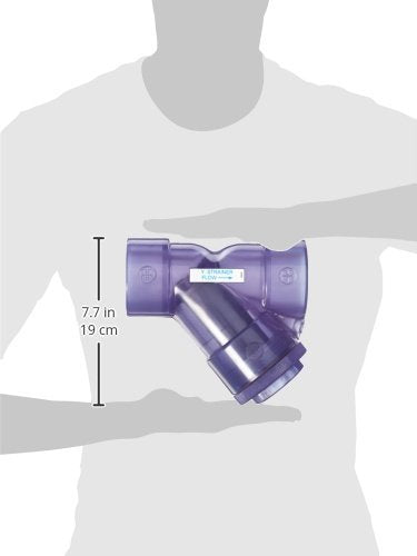 Hayward YS00200S 2-Inch Socket Clear PVC Y-Strainer with FPM O-ring Seals - Diamond Home USA