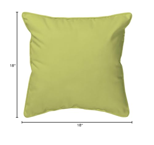 Betsy Drake Peacock Feather Indoor/Outdoor Pillow 18" x 18" - Diamond Home USA