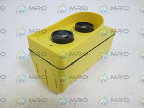 Dayton 20C804 Pendant Station Yellow 2No/2Nc - Diamond Home USA