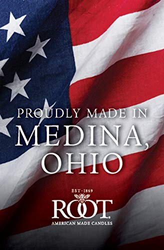 Root 9-Inch Unscented Timberline Collenette Candles Ivory Box of 4 - Diamond Home USA