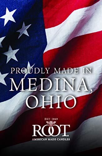 Root Candles 8217 Unscented Smooth Arista 12-Inch Dinner Candles Ivory - Diamond Home USA