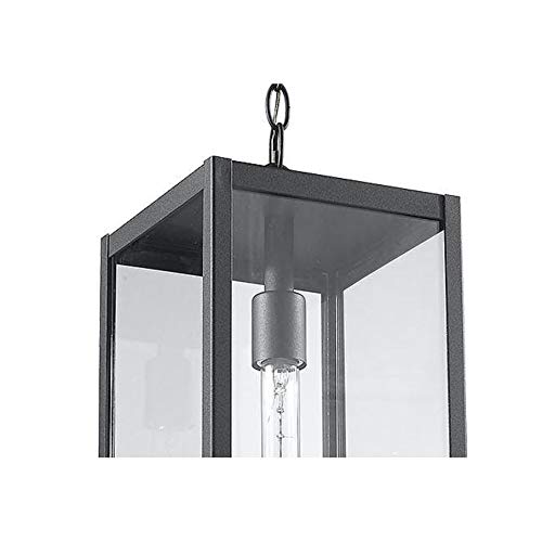Clear Glass Outdoor Hanging Black Light Modern Contemporary Aluminum - Diamond Home USA