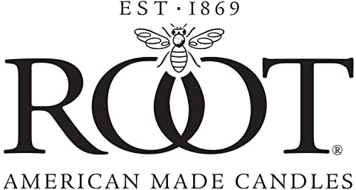 Root Candles 8217 Unscented Smooth Arista 12-Inch Dinner Candles Ivory - Diamond Home USA