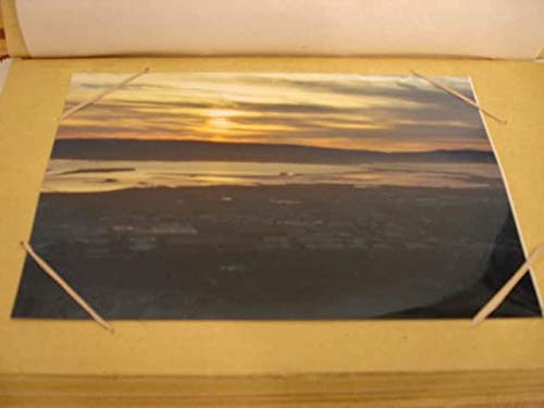 Handmade Palm Tree Design Bamboo/Leaves Photo Album (Indonesia) Multi Color - Diamond Home USA