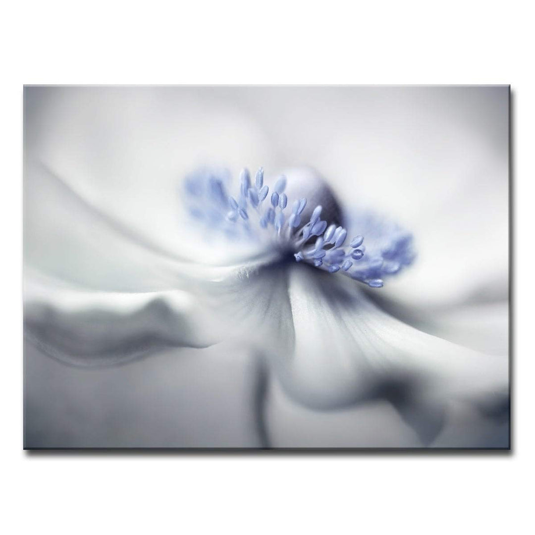 Ready2HangArt Anemone Spirit' Floral Wrapped Canvas Wall Art Overall Size: 30 - Diamond Home USA