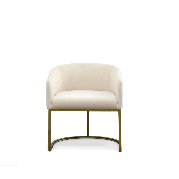 Modern Beige Velvet Brass Dining Chair Contemporary Upholstered Finish - Diamond Home USA