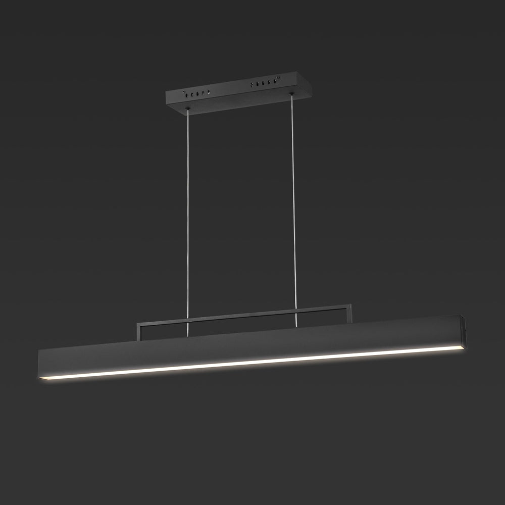 Collection 57" Linear Light 42" W X 5" D H Black Modern Contemporary Acrylic - Diamond Home USA