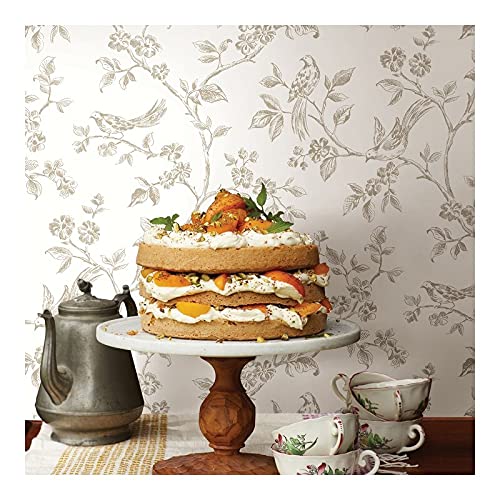 Taupe Bird Trail Wallpaper 20.5 X Nature Modern Contemporary Wildlife Washable - Diamond Home USA