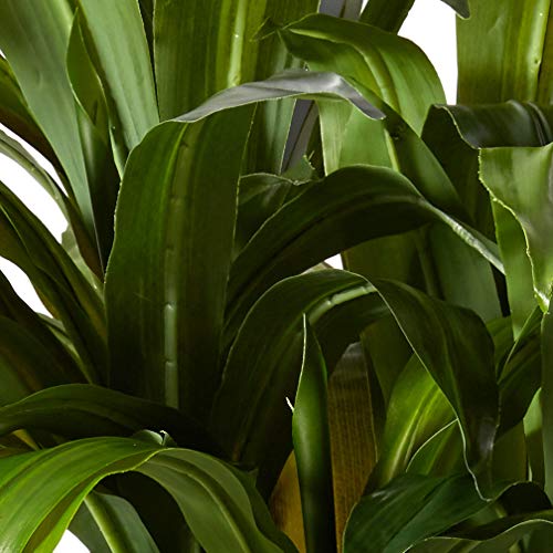 Nearly Natural 4. Corn Stalk Dracaena Silk (Real Touch) Artificial Plant 4 - Diamond Home USA